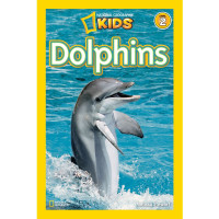 Image of Dolphins