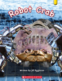 Image of Robot Crab