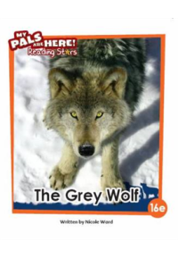 Image of The Grey Wolf (16e)