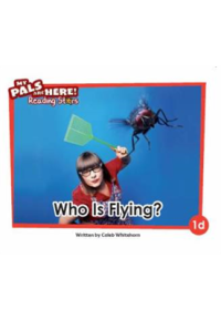Image of Who Is Flying? (1d)